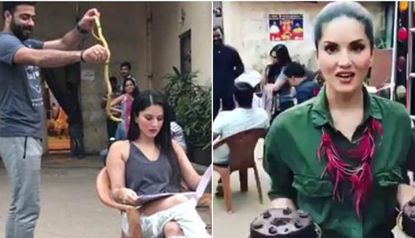 Sunny Leone Takes Revenge On Prankster Who Threw A Snake At Her