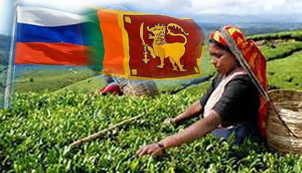 Ministerial Delegation Led by Rishad & Navin Visits Russia to Restore Tea Export