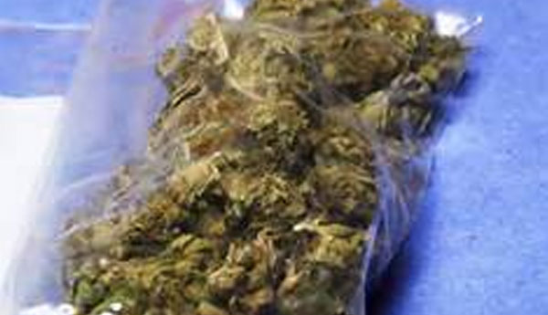 Smuggling 12kg of Cannabis in Luxury Bus Nabbed