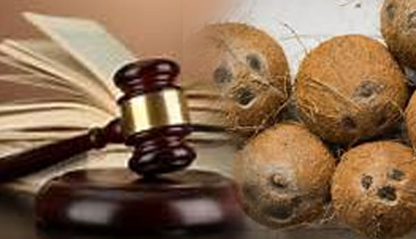 250 Coconut Sellers Taken to Courts For Selling Coconut Beyond Maximum Retail Price of Rs75