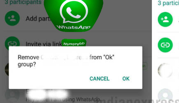 WhatsApp Testing New Feature To ‘Dismiss’ Someone As Group Admin: Report