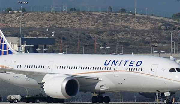 Criminal Investigation Launched into Dog’s Death on US Flight