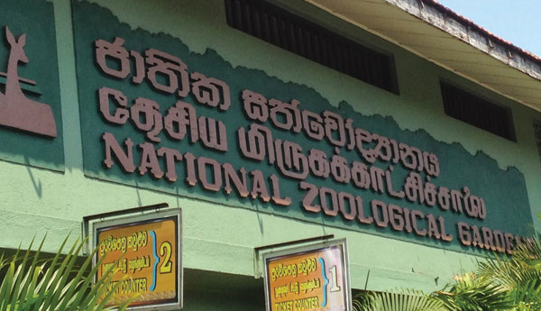 Dehiwala Zoo to be Closed  For 3 Nights