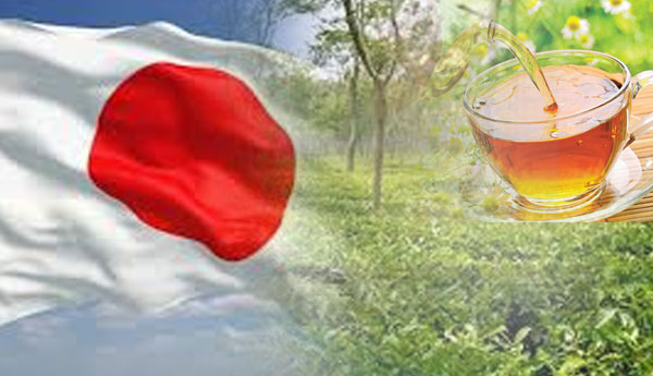 Problem in Exporting Tea to Japan ?