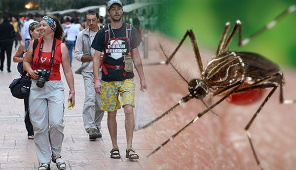 Sri Lanka, Citing Violence & Dengue, Cuts 2018 Tourist Arrivals Target