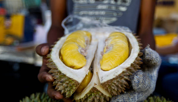 Durian’s Smell Mistaken for Gas Leak in Australia, Prompts Evacuation