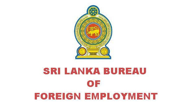 12 Sri Lankan Migrant Workers in Somaliland Return To SL