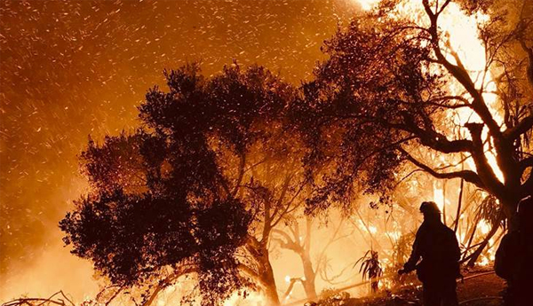 Crews Gain Ground On New Mexico Wildfire as Colorado Blaze Rages