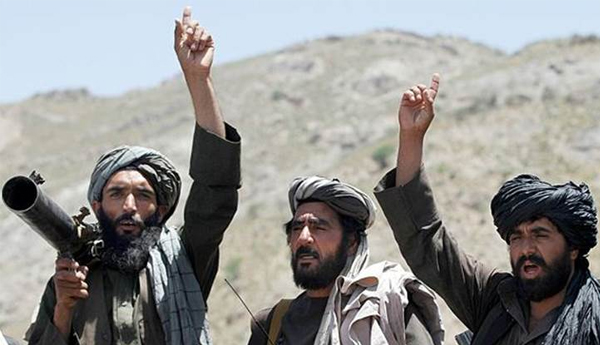 Taliban Reject US Commander’s Statement on Peace Talks