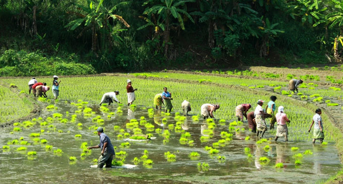Sri Lanka’s first agriculture model village in Kahattewela – Haputale