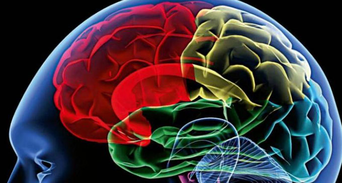 CT Scan may increase brain tumor risk CT Scan may increase brain tumor risk