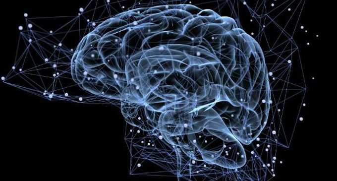 Connection between smell and memory uncovered