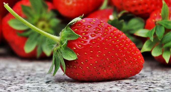 Eat strawberries, improve gut health Eat strawberries, improve gut health