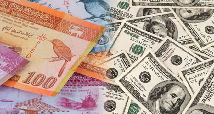 Sri Lanka rupee hits record low of 176.25 per dollar