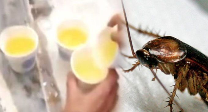 Underperforming Chinese workers made to drink urine, eat bugs