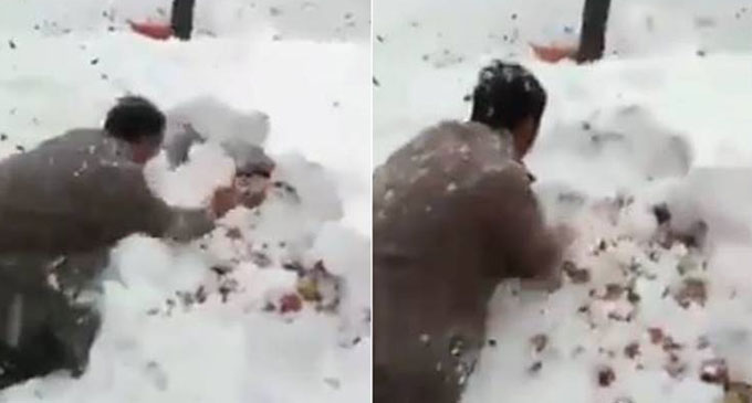 Viral video shows plight of apple farmer in Kashmir after snowfall destroys crop