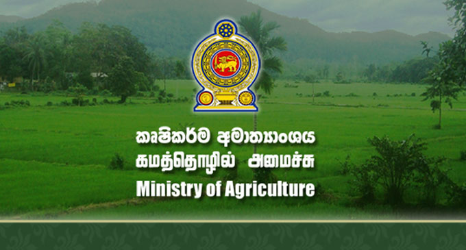Compensation for damaged paddy lands in Mullaitivu and Killinochchi