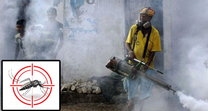 The Health Minister directs to focus on dengue mosquitoes The Health Minister directs to focus on dengue mosquitoes