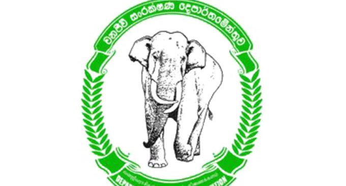 Department of Wildlife Conservation’s Special Instructions to Tourists Department of Wildlife Conservation’s Special Instructions to Tourists