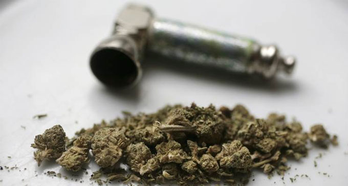 Thailand legislature legalises medical marijuana and kratom Thailand legislature legalises medical marijuana and kratom