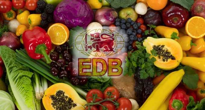 EDB seeks green light from China for Organic vegetable and fruit