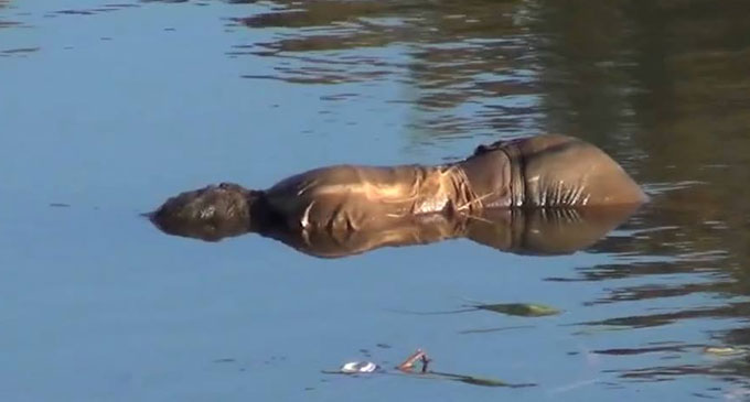 An unidentified female body found in Upper Kotmale reservoir An unidentified female body found in Upper Kotmale reservoir
