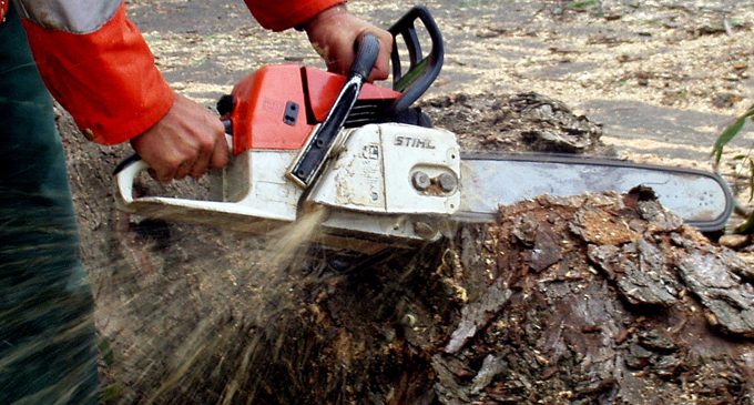 All chainsaw machines must register before Feb. 28
