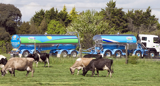 Claims some Fonterra milk products containing animal fats ‘Completely false,’ Fonterra says Claims some Fonterra milk products containing animal fats ‘Completely false,’ Fonterra says