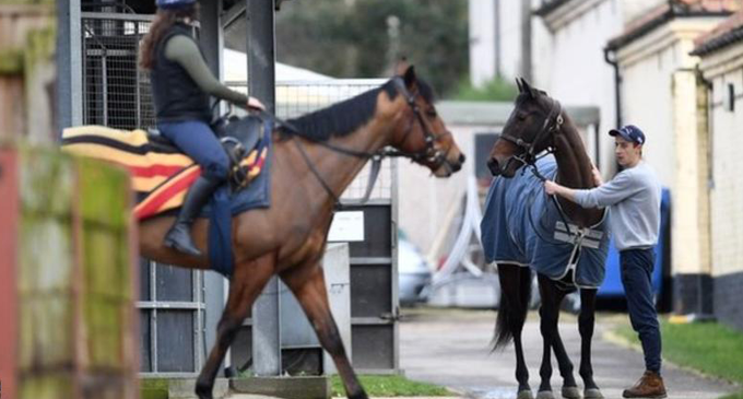 Racing to resume in Britain after equine flu shutdown Racing to resume in Britain after equine flu shutdown