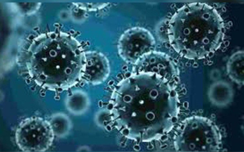 Virus-infected bacteria can aid in fight against climate change