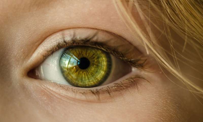 Adhesive gel to repair eye injury without surgery