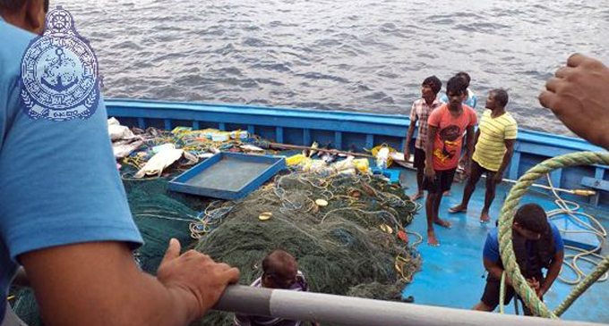 A turtle caught by Indian fishers set free by Navy [VIDEO]