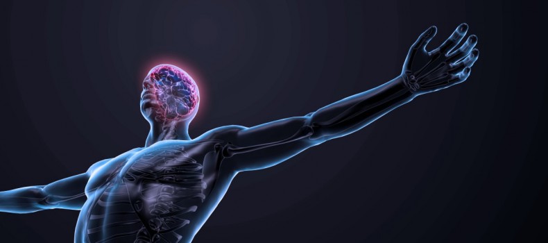 Neurofeedback leads to strengthening nervous system