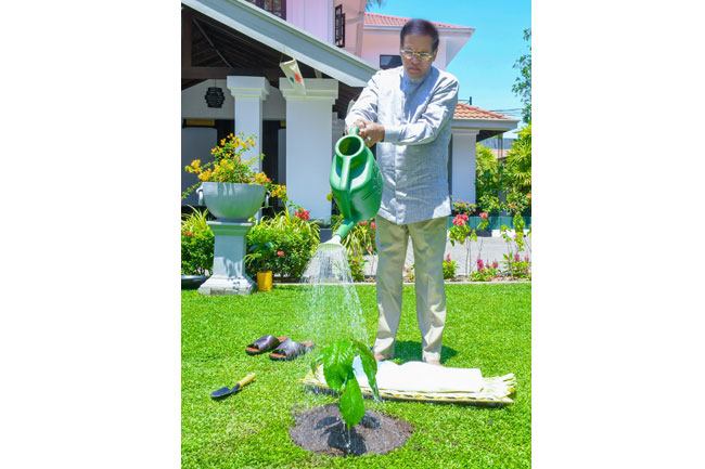 President performs tree planting custom for Sinhala & Tamil News Year