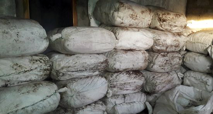 980kg of beedi leaves found at Erambugodella