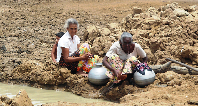 Drought continues in Ampara Drought continues in Ampara