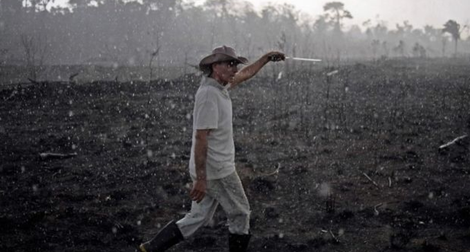 Amazon fires: Brazil to reject G7 offer of $22m aid Amazon fires: Brazil to reject G7 offer of $22m aid