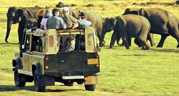 Safari in Sri Lanka like never before with Go 4 Safari