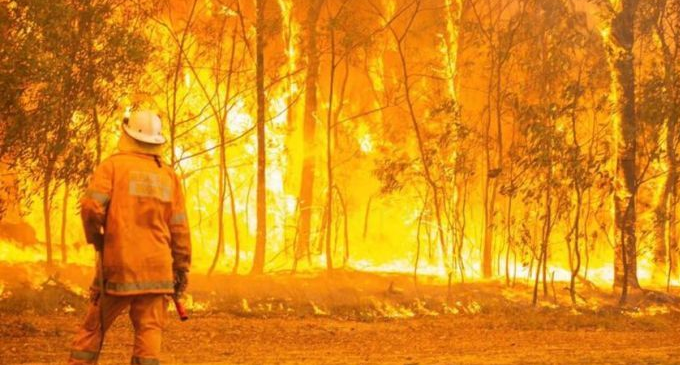 Australia bushfires are now ‘hotter and more intense’