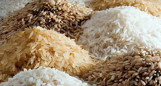 Price of Nadu and Samba rice reduced