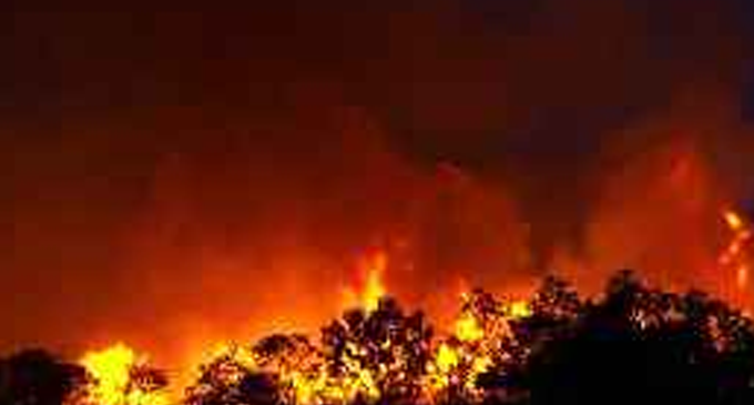 Australia fires: Storms wreak damage but bushfires ‘far from over’