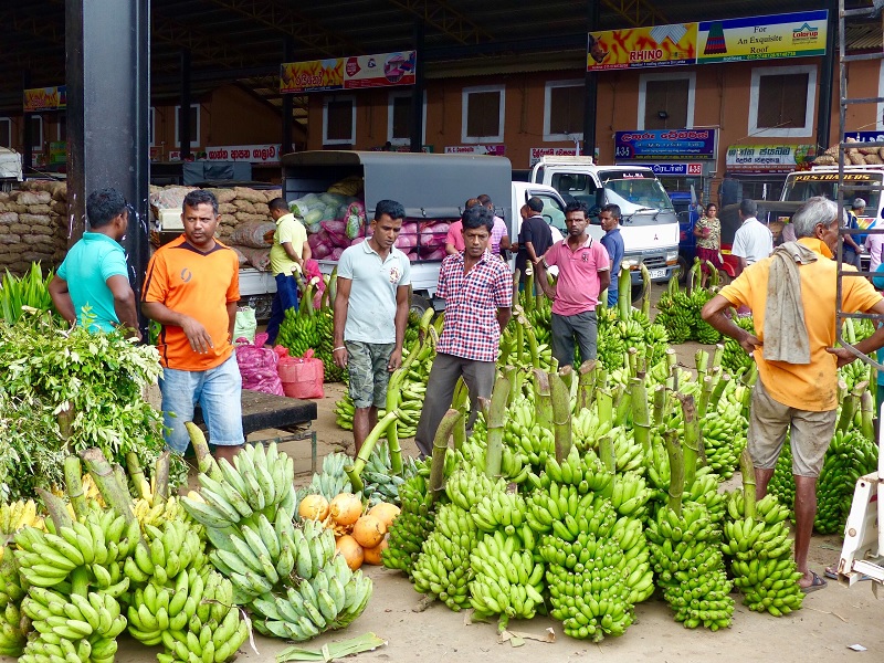 Dambulla Economic Center to remain closed Dambulla Economic Center to remain closed