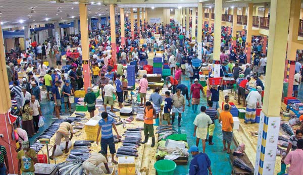 Peliyagoda Fish Market to be closed