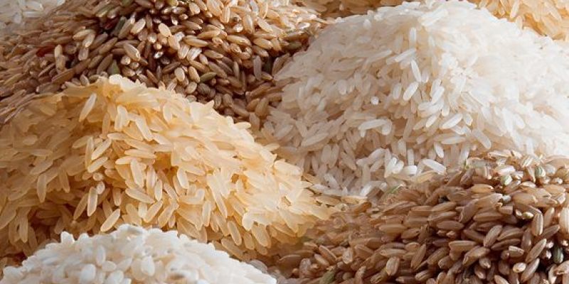 ‘Government factions creating rice shortage’