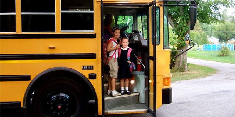 School buses to be used for passenger transport