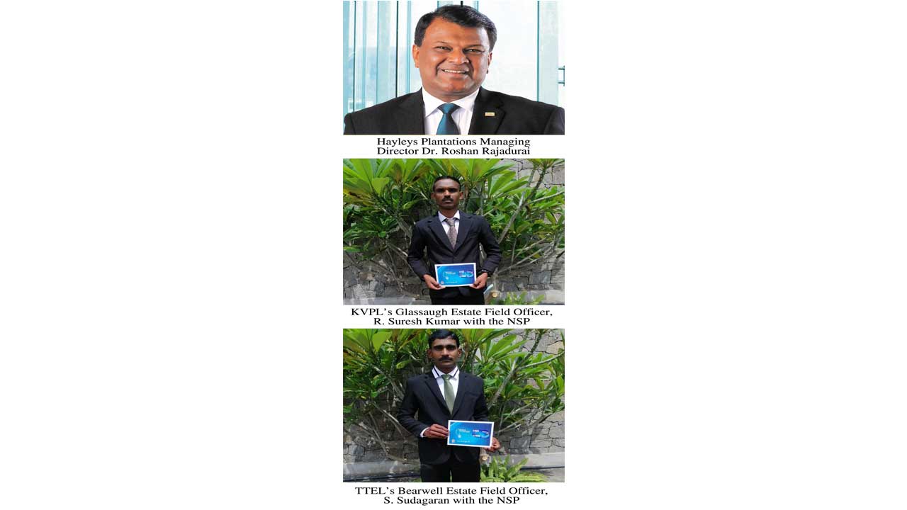 Hayleys Plantations’ Field Officers presented with first-ever NVQ Skills Passport in Sri Lanka