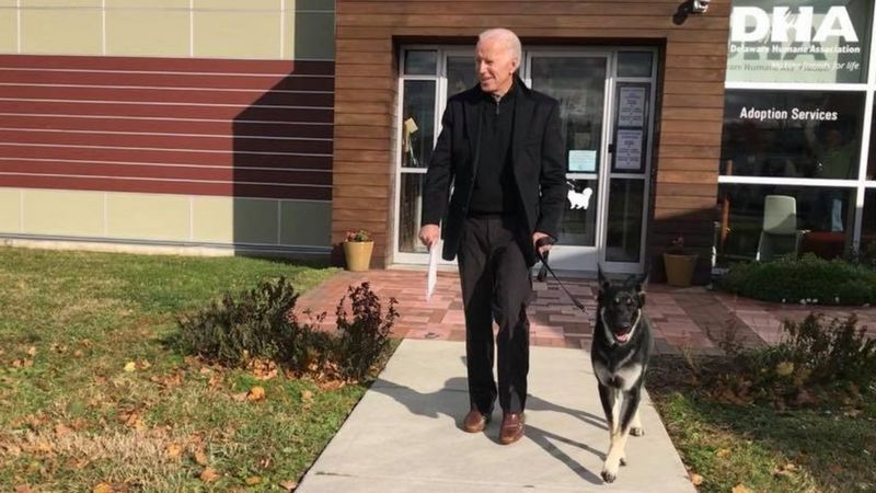 Joe Biden fractures foot while playing with dog