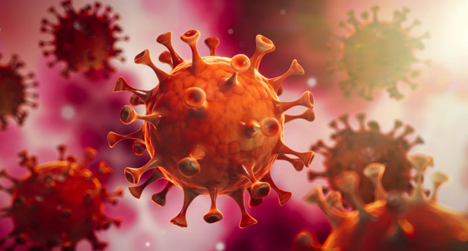 New coronavirus has not been detected in SL so far