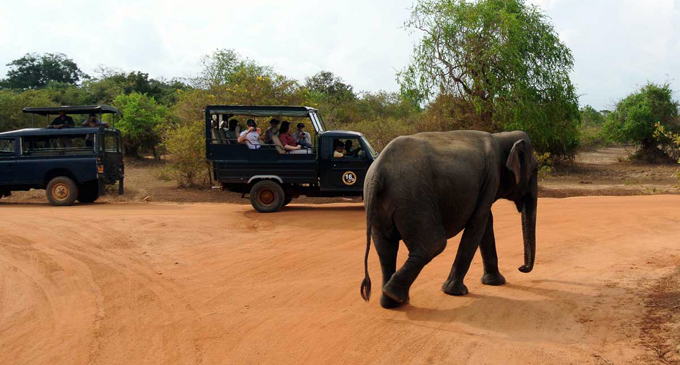 Safari drivers in quarantine quandary after Yala tour