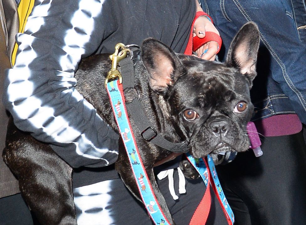 Lady Gaga dog walker had part of his lung removed